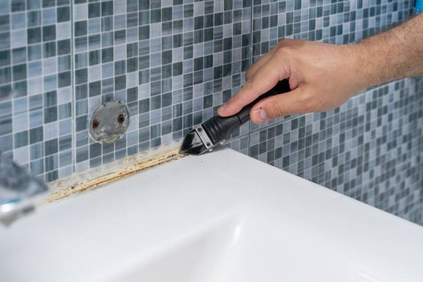 Best Post-Remediation Services in Crimora, VA