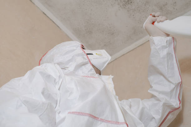 Best DIY Mold Remediation Support Services in Crimora, VA